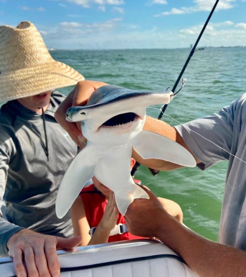Two people on a boat holding a small shark with open mouth. One person is wearing a wide-brimmed hat. The background shows a body of water and a distant shoreline.